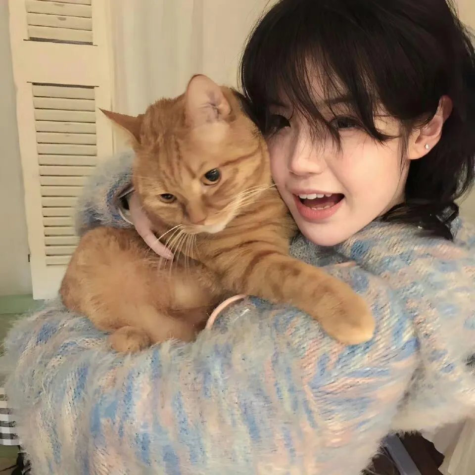 双面赘婿第二季